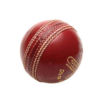 Cricket Equipment (Stock)
